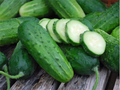Boston Pickling Cucumber Seeds - Heirloom, Non-GMO, 50 Seeds for Pickles