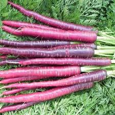 Cosmic Purple Carrot Seeds (Daucus carota) - 300 Seeds, Purple Skin with Orange Core
