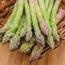 Bare Root Jersey Giant Asparagus - 2-Year Crown, Asparagus officinalis