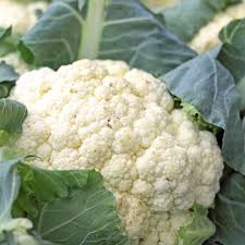 Snowball Y Improved Cauliflower Seeds (500mg) - Heirloom, Non-GMO, Brassica oleracea