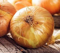 Walla Walla Sweet Onion Seeds - Allium cepa | Heirloom, Extra-Sweet, Mild & Juicy