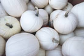 Valenciano Pumpkin Seeds (Cucurbita pepo) – White Heirloom edible pumpkin, 5 seeds