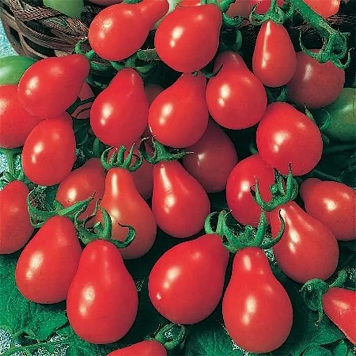 Red Pear Tomato Seeds - Heirloom, Non-GMO, 30 Seeds