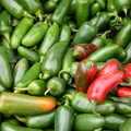 300 Jalapeno M Pepper Seeds - Non-GMO Heirloom, 5,000 SHU, 70-80 Days