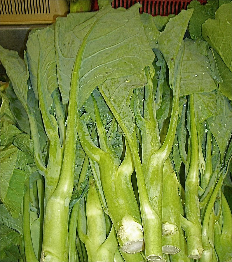 Kailaan Chinese Broccoli (Gai Lan) Seeds - Heirloom 125 Seeds