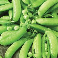 Sugar Snap Pea Edible Pod Seeds - Pisum sativum | 1/4 oz Non-GMO Heirloom, Easy to Grow