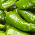 Padron Pepper Seeds (Capsicum annuum) – 10 Seeds, Mild Spanish Pepper