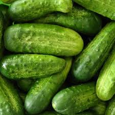 Cucumber National Pickling Seeds 1g | Cucumis sativus - High-Yield for Pickling & Fresh Eating