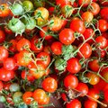 Matt’s Wild Cherry Tomato Seeds - 25 Seeds | Heirloom, Sweet, Prolific, Easy to Grow