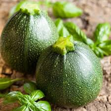 Summer Squash Round Zucchini Seeds (Cucurbita pepo) - 1g, High-Yield, Non-GMO