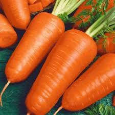 Red Cored Chantenay Carrot Seeds (300-Pack) – Heirloom Daucus carota, Sweet Crisp