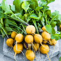 Golden Helios Radish Seeds - 500+ Heirloom, Mild & Crisp Yellow Radish