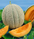 Hales Best Jumbo Melon Seeds (Cucumis melo) - 35 Seeds, Heirloom Cantaloupe