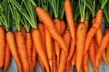 Imperator Carrot Seeds - 2,000 Heirloom, Non-GMO, All-America Selections