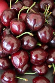 Noir de Guben Cherry Seeds – 10+ Rare Black Cherry Seeds, Self-Fertile