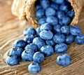 Dwarf Top Hat Blueberry Seeds (Vaccinium corymbosum) - 100 Seeds, Dwarf Low Bush
