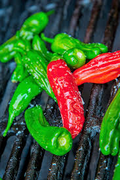 Shishito Oriental Hot Pepper Seeds (Capsicum annuum) – 250 mg, Mildly Spicy for Planting