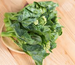 Chinese Broccoli Kailaan Seeds (Brassica oleracea) Open-Pollinated Heirloom – 150 Seeds