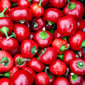 Cherry Hot Red (Cherry Bomb) Pepper Starter Plants - 3 Starter Plants