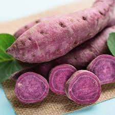 All Purple Sweet Potato (Ipomoea batatas) - Organic, 5 lb Starter Tubers, Japanese Variety
