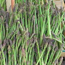 Jersey Giant Asparagus Live Bare Root Crowns - 10 2-Year Starter Plants