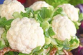 Cauliflower Self-Blanching Seeds - 1 Gram, Brassica oleracea