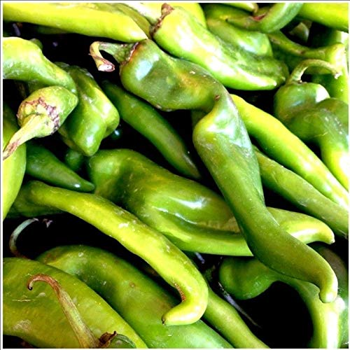 Hatch Rattlesnake Pepper Seeds - Heirloom Capsicum annuum, Smoky & Spicy