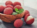 Lychee (Litchi chinensis) Rooted Cutting – 12"-24" Tropical Live Fruit Tree Starter Plant