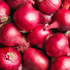 Red Grano Onion Seeds (Allium cepa) - 250 mg Heirloom Red Onion Seeds for Planting