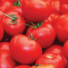 Floradade Tomato Seeds (Solanum lycopersicum) – Heat-Tolerant, High-Yielding Indeterminate
