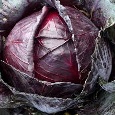750 Red Acre Cabbage Seeds - Non-GMO Heirloom, Reddish-Purple Heads