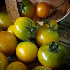 Fat Frog Micro Dwarf Tomato Seeds - Heirloom, Non-GMO, 15 Seeds