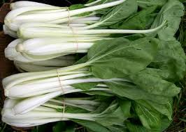 Pak Choi White Stem Seeds (Brassica rapa) - 400 Seeds for Fast-Growing, Cold-Hardy Asian Greens