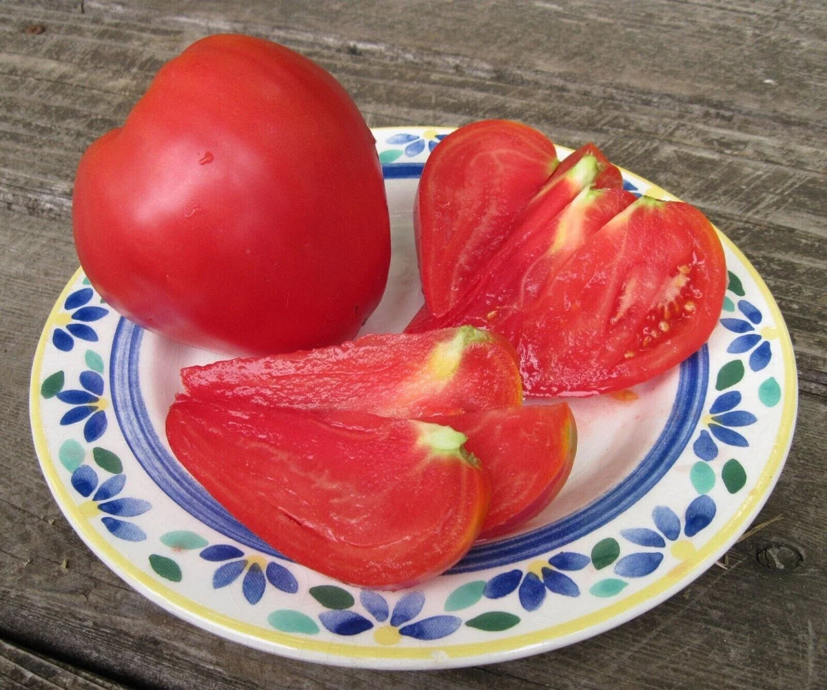 Anna Russian Tomato Seeds - 120+ Heirloom Organic NON-GMO - Rare Variety - Perfect for Home Gardening