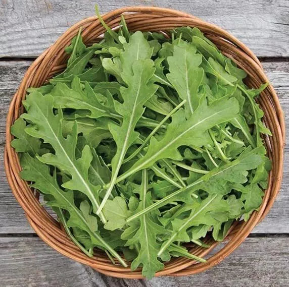 Arugula Seeds for Planting, 50 Count, Fast Growing, High Yield - Eruca vesicaria