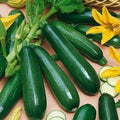 25+ Black Beauty Zucchini Seeds - Heirloom Non-GMO Organic Cucurbita pepo