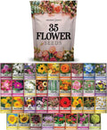 Wildflower Seed Kit - 35 Variety Pack - Perennial & Annual Flowers - Diverse Garden Mix