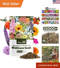 Wildflower Seeds 1 Ounce Hummingbird & Butterfly Mix 24 Varieties (Native Wildflowers)