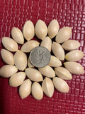 Ginkgo Biloba Seeds - 5 Pack - Maidenhair Tree - Ginkgo biloba - NOV 2024 Harvest - USA Seller