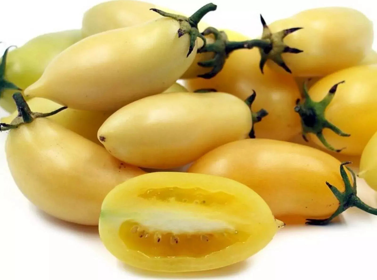 Cream Sausage Tomato Seeds - 120+ Heirloom Organic Non-GMO - Rare Variety, Perfect for Home Gardening