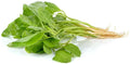 Green Amaranth Spinach Seeds - 100+ Edible Seeds for Planting (Amaranthus viridis) - Healthy Variety for Home Garden