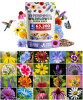 Premium Wildflower Seed Mix - 63,200+ Seeds, 19 Varieties, Attract Bees & Birds, Native Flower Seeds for Pollinators