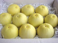 Taiwan Mini Fragrant Honeydew Melon Seeds - 25 Seeds (????) - Sweet, Aromatic Fruit, Perfect for Home Gardening