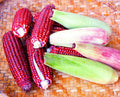 Red Corn Seeds - Bloody Butcher Indian Corn - Heirloom Variety - Grown in Iowa - Non-GMO, Organic