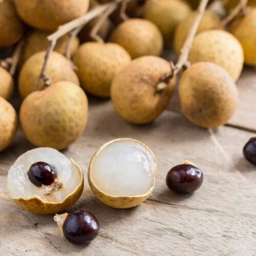 Longan Seeds - 20 Pack, Sweet Delicious Dragon Eye Fruit, Dimocarpus longan
