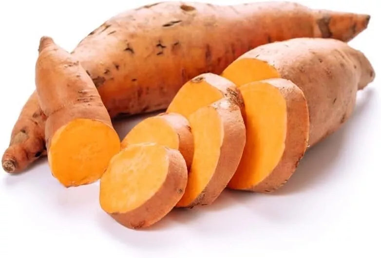 Beauregard Sweet Potato Slips - Live Plants - Organic Variety - Ipomoea batatas
