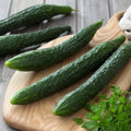 Suyo Long Cucumber Seeds - 100+ Heirloom Non-GMO Organic - Cucumis sativus - Rare Variety