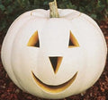 Casper Pumpkin Seeds - 12+ White Vegetable Seeds for Halloween Garden - Ornamental Variety (Cucurbita pepo)
