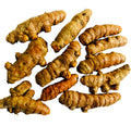 Turmeric Roots - 10PCS - Curcuma longa - Arthritis Relief, Tea & Cooking Use
