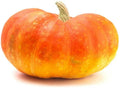 Cinderella Pumpkin Seeds 20 Pack - Heirloom Variety for Planting (Cucurbita pepo)